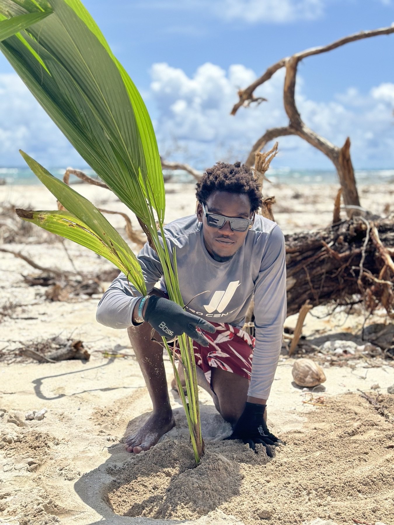 Coconut tree replanting support in the Grenadines